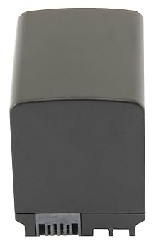 Amazon.com : STK's Canon BP-819 Battery - 2700mAh for Canon